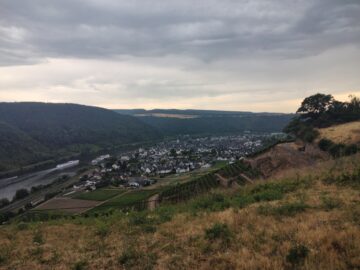 Winningen on the Mosel and the surrounding vineyards as seen from the Koblenz-Winningen airfield